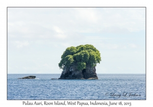 Pulau Auri