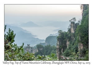 Valley Fog, Top of Tianzi Mountain Cableway