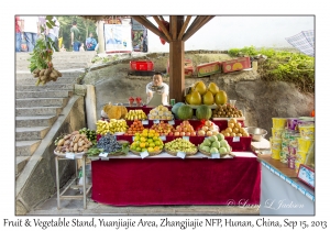 Fruit & Vegetable Stand