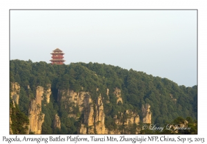 Pagoda, Arranging Battles Platform