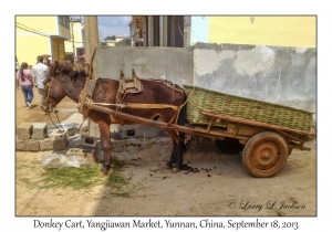 Donkey Cart