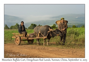 Mountain Buffalo Cart