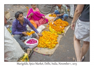 Marigolds