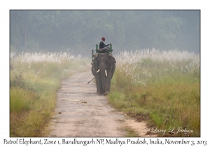 Patrol Elephant