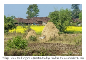 Village Fields