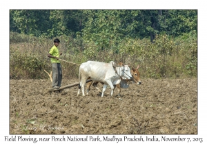 Field Plowing