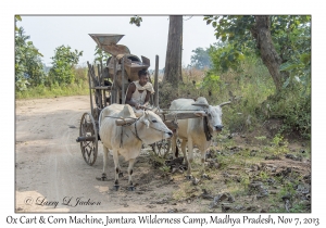 Ox Cart & Corn Machine