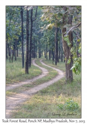 Teak Forest Road