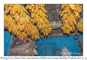 Drying Corn, Home Visit