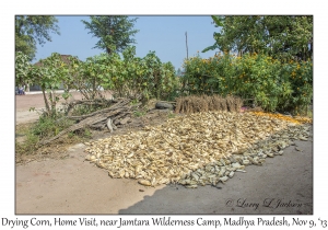 Drying Corn, Home Visit