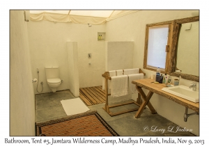 Bathroom, Tent #5