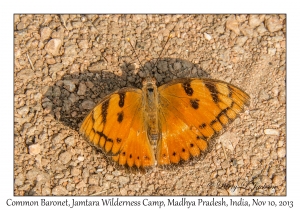Common Baronet