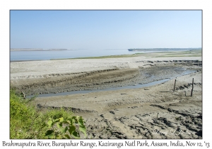 Brahmaputra River