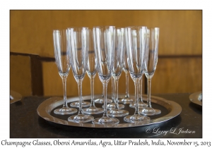 Champagne Glasses