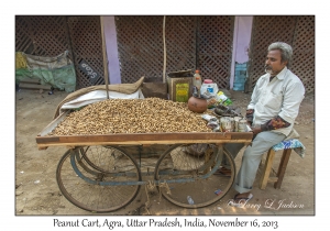 Peanut Cart