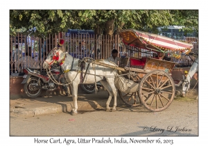 Horse Cart