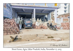 Rhesus Macaque & Concrete Sculptures