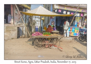 Vegetable Cart