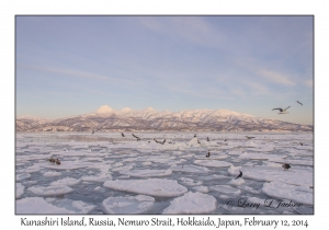 Kunashiri Island, Russia