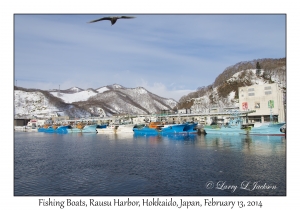 Fishing Boats