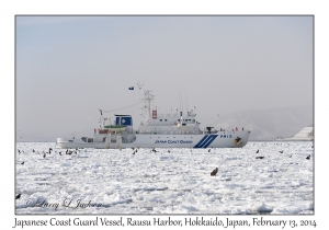 Japanese Coast Guard