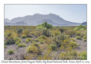 Chisos Mountains