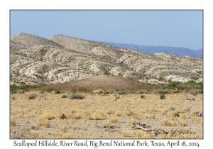 Scalloped Hillside