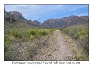 Pine Canyon Trail