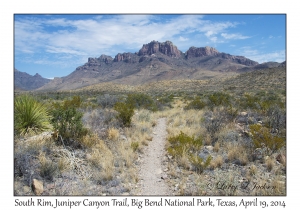 South Rim & Juniper Canyon Trail