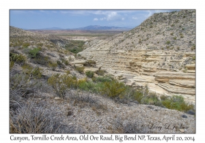 Tornillo Creek Area