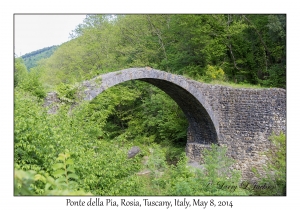 Ponte della Pia