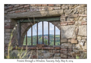 Frosini through a Window