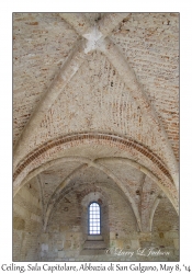 Ceiling of the Sala Capitolare