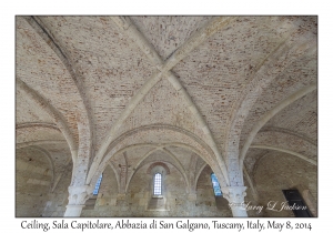 Ceiling of the Sala Capitolare