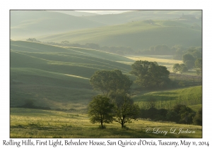 Rolling Hills at First Light