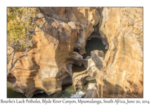 Bourke's Luck Potholes