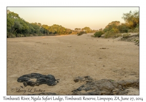 Timbavati River