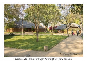 Grounds