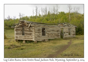 Log Cabin Ruins