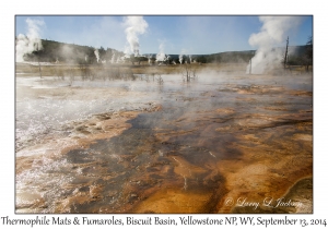 Thermophile Mats & Fumaroles