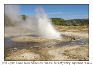 Jewel Geyser