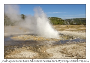 Jewel Geyser