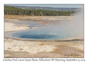 Celestine Pool