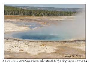 Celestine Pool