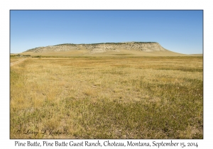 Pine Butte