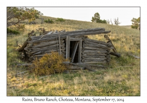 Ruined Log Building