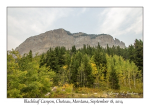 Blackleaf Canyon