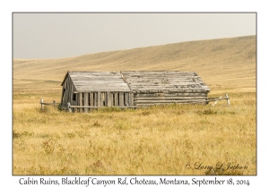 Cabin Ruins