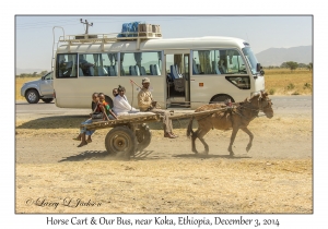 Horse Cart & Our Bus