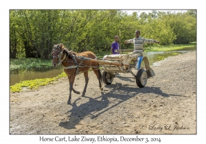 Horse Cart